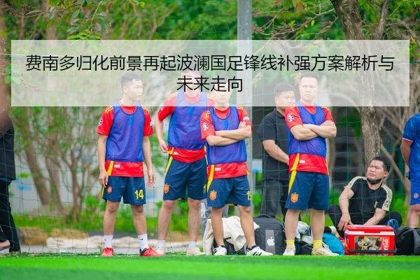 费南多归化前景再起波澜国足锋线补强方案解析与未来走向